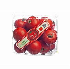 עגבניות מגי