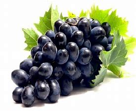 ענבים שחורים