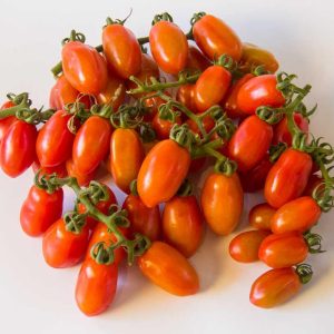 שרי תמר אשכולות